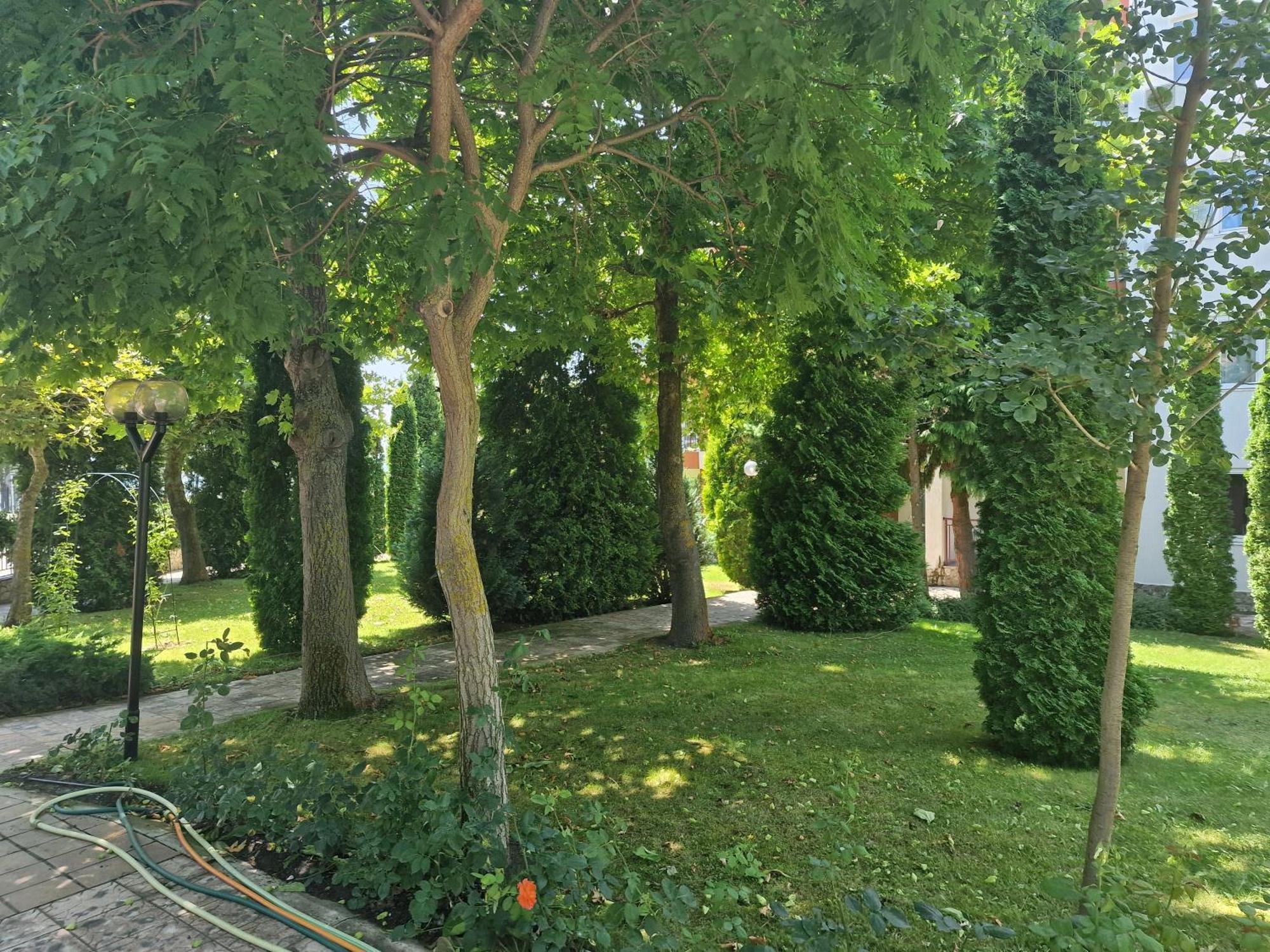 Sloneczny Brzeg Green Fort Noks Studio Extérieur photo